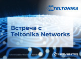 Встреча с компанией Teltonika Networks